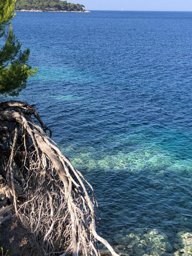 Villa Iva Lastovo Uble Εξωτερικό φωτογραφία