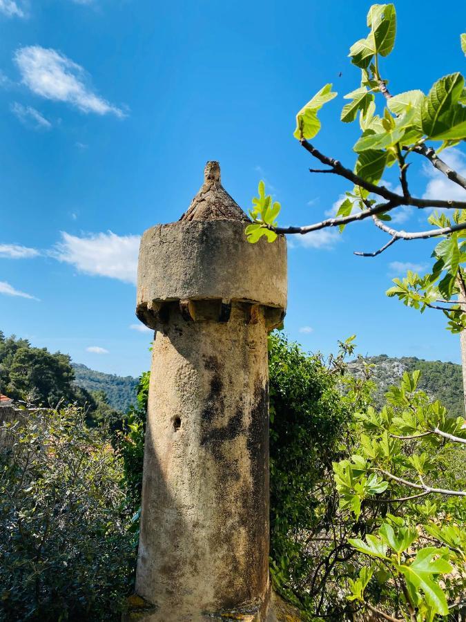 Villa Iva Lastovo Uble Εξωτερικό φωτογραφία