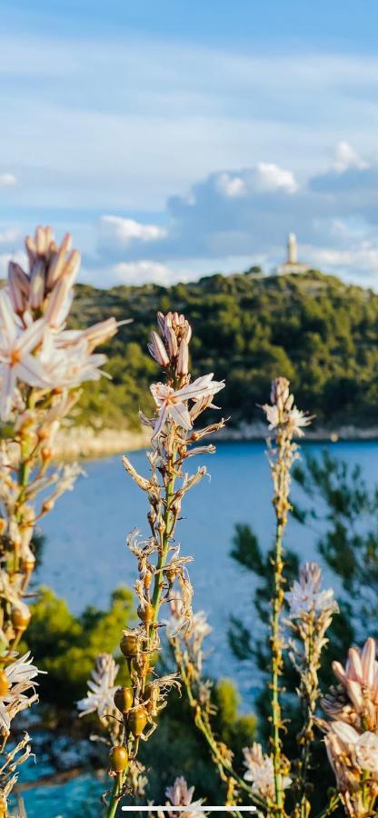 Villa Iva Lastovo Uble Εξωτερικό φωτογραφία