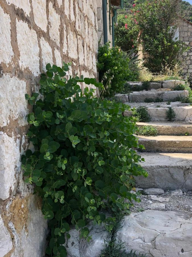 Villa Iva Lastovo Uble Εξωτερικό φωτογραφία